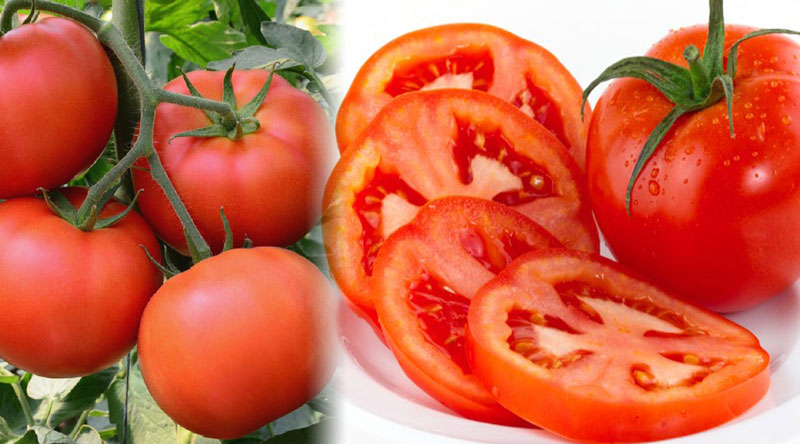 cách trị thâm mụn bằng cà chua